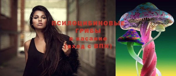 эйфоретик Абаза