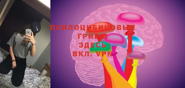 стаф Абдулино