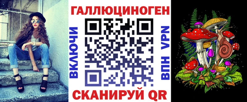 закладка  Сергач  Галлюциногенные грибы мицелий 
